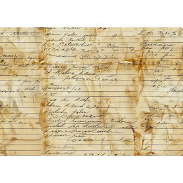 copy of 